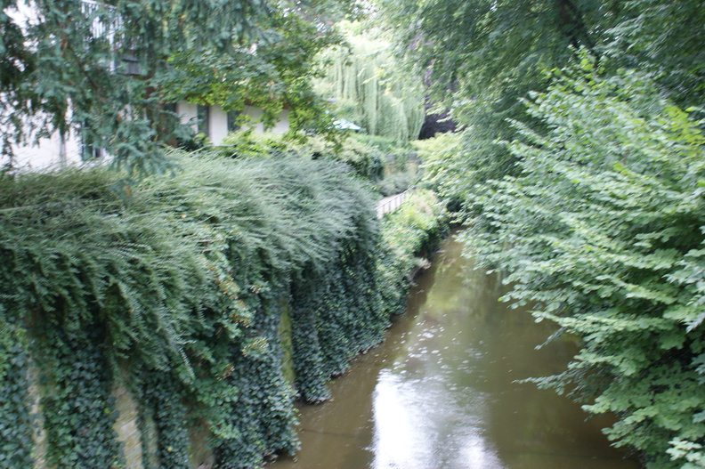 DSC00069.jpg