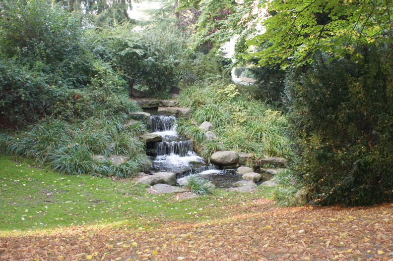 DSC00112.jpg