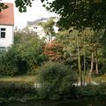 DSC00114