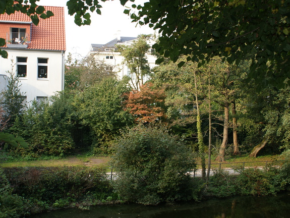 DSC00114