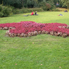 DSC00115