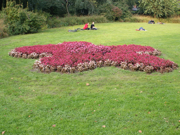 DSC00115