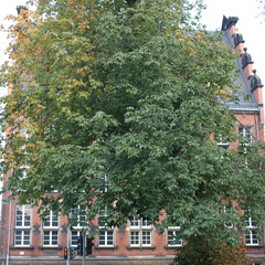 DSC00119