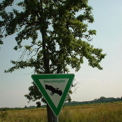 DSC00042