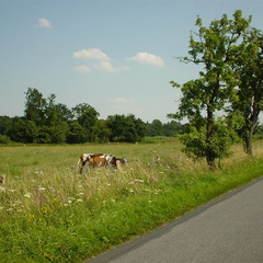DSC00045
