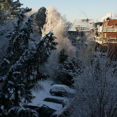DSC00185