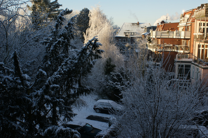 DSC00185.jpg
