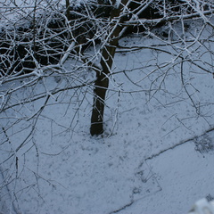 DSC00186