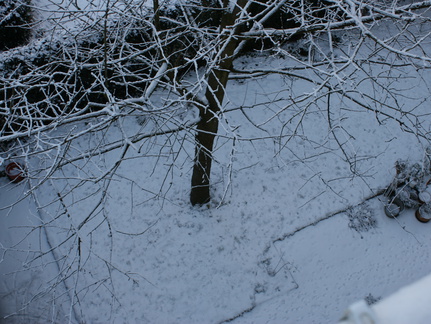 DSC00186