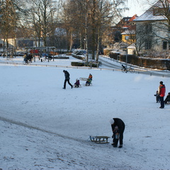 DSC00190