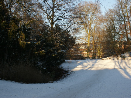 DSC00197
