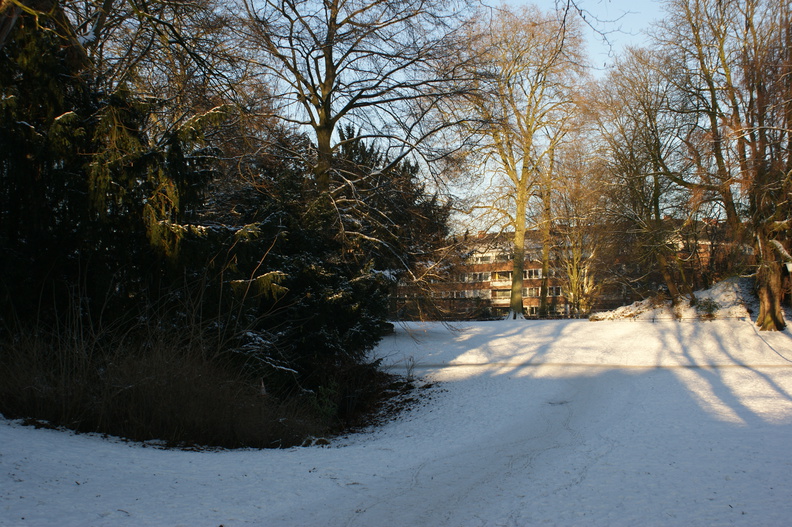DSC00197.jpg