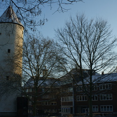 DSC00201