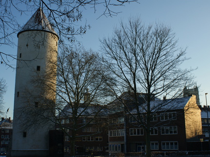 DSC00201