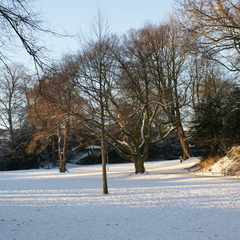 DSC00202