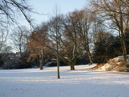 DSC00202