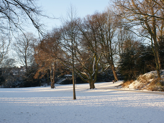 DSC00202