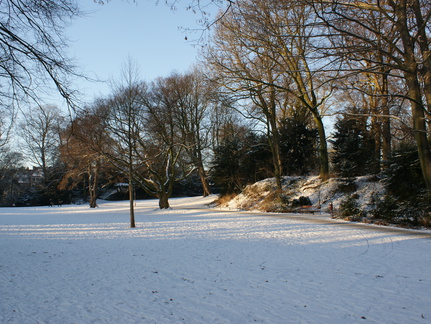 DSC00203