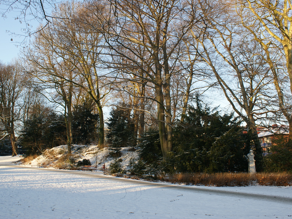 DSC00204