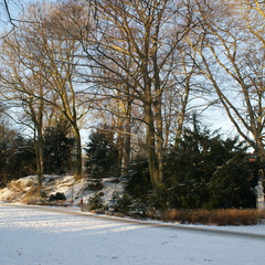 DSC00204