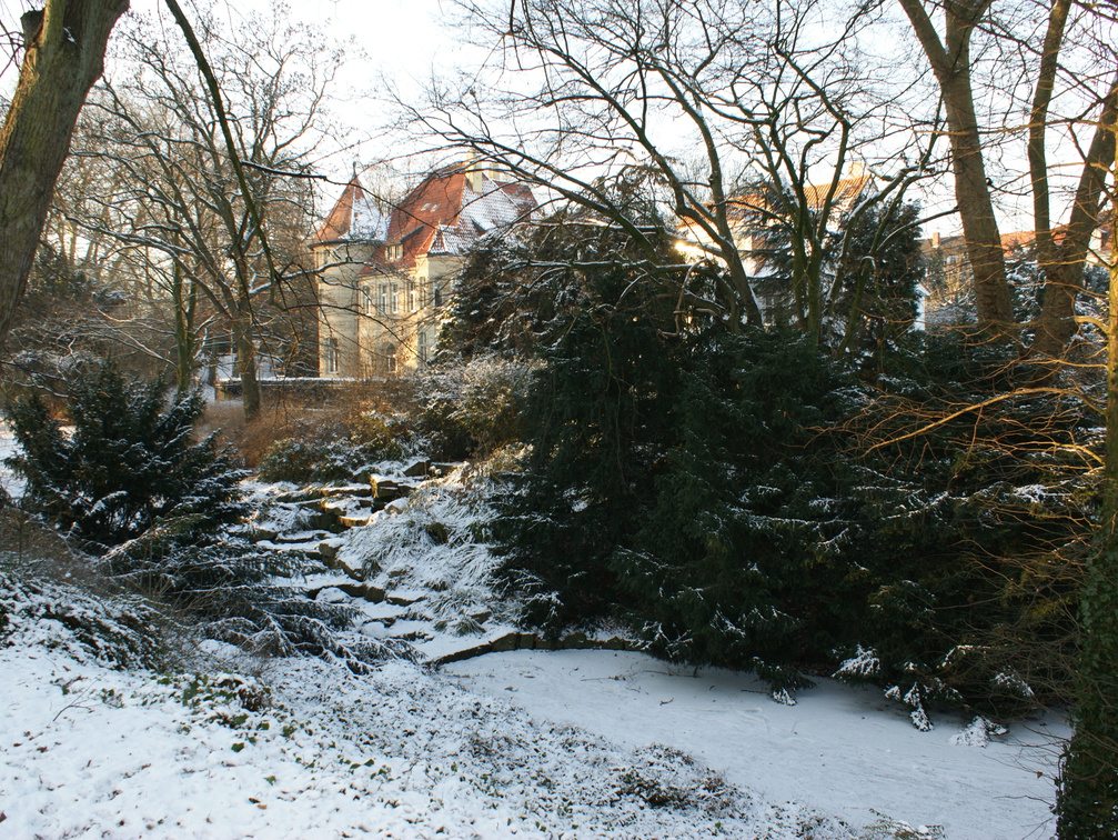 DSC00205