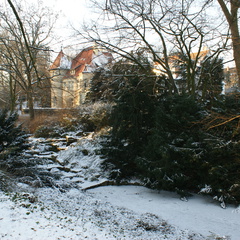 DSC00205