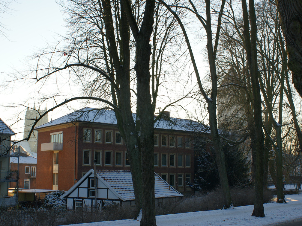 DSC00206
