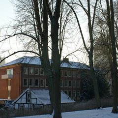 DSC00206