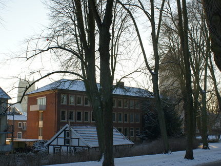 DSC00206