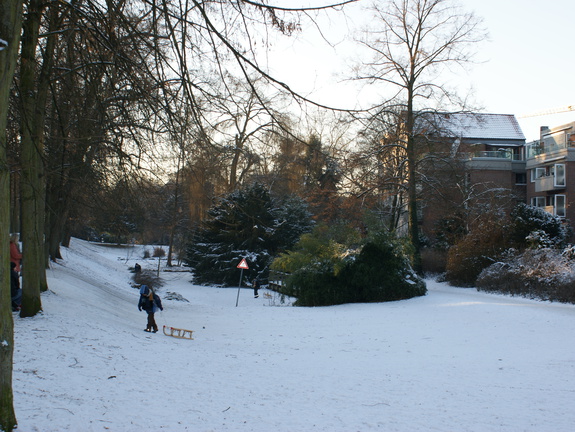 DSC00207