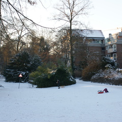 DSC00209