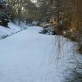 DSC00210