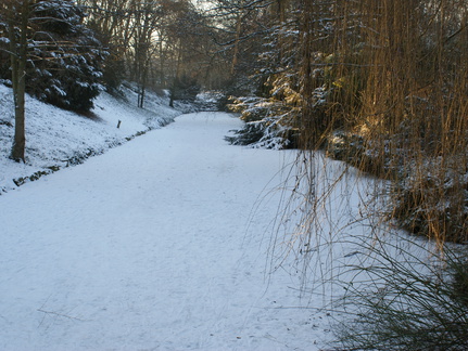 DSC00210