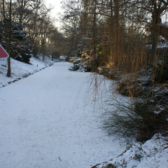 DSC00211