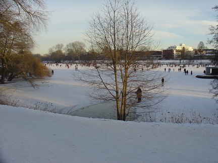 DSC05390