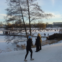 DSC05391