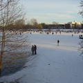 DSC05393