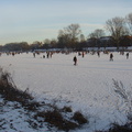 DSC05394