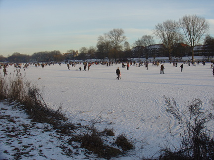 DSC05394
