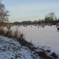 DSC05395