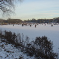 DSC05397