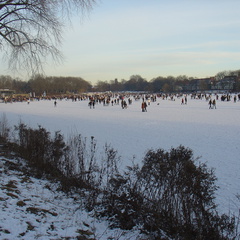 DSC05397