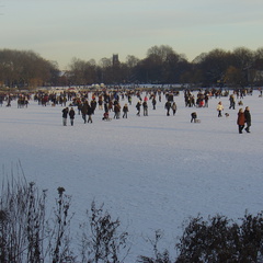 DSC05398