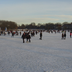 DSC05401