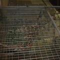 DSC03000