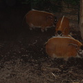 DSC03002