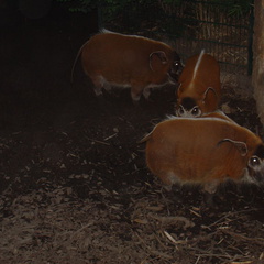 DSC03002