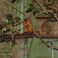 DSC03003
