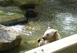 Zoo 2004