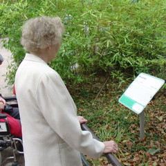 DSC00294